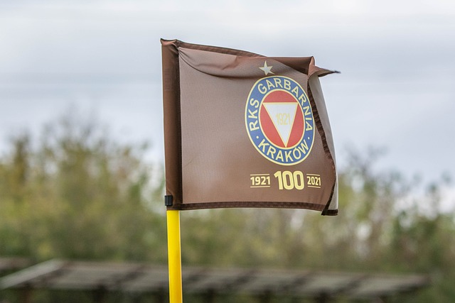 的默契程度 的默契程度