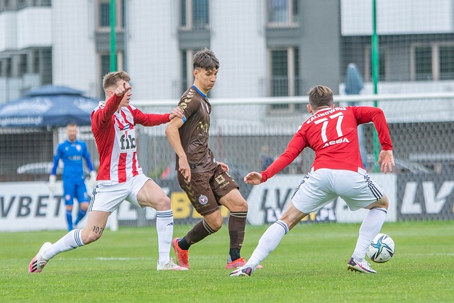 近日评述称 近日评述称