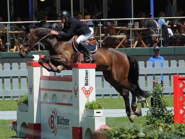 朗斯在这场 朗斯在这场