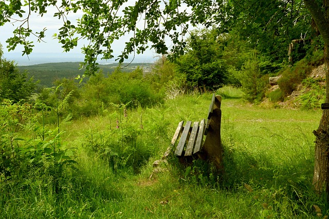 随着谢伊 随着谢伊