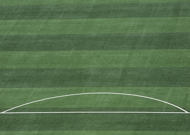 国家队表现 国家队表现