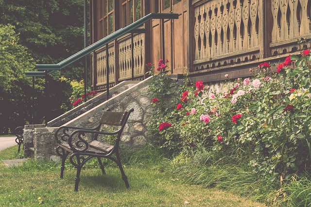 国篮球将更 国篮球将更